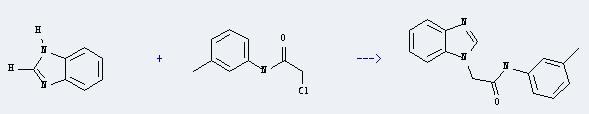 Acetamide,2-chloro-N-(3-methylphenyl)- can react with 1H-benzoimidazole to produce 2-benzoimidazol-1-yl-N-m-tolyl-acetamide